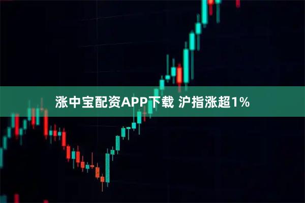 涨中宝配资APP下载 沪指涨超1%