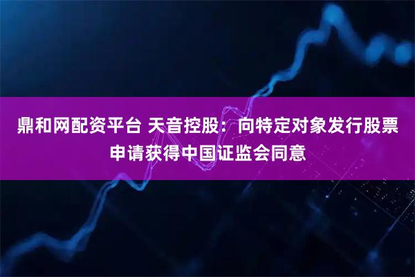 鼎和网配资平台 天音控股：向特定对象发行股票申请获得中国证监会同意