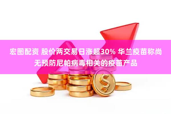 宏图配资 股价两交易日涨超30% 华兰疫苗称尚无预防尼帕病毒相关的疫苗产品