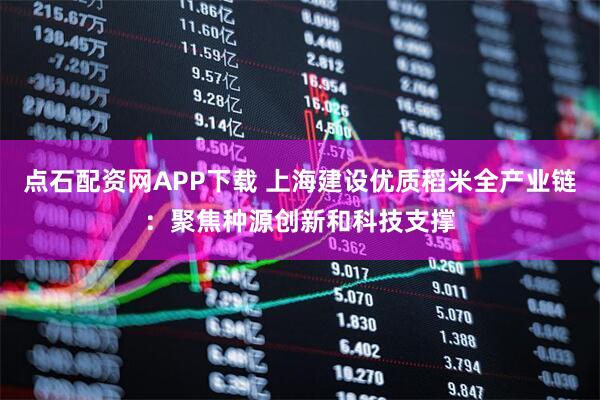 点石配资网APP下载 上海建设优质稻米全产业链：聚焦种源创新和科技支撑