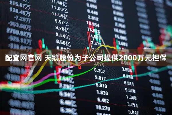 配查网官网 天鹅股份为子公司提供2000万元担保