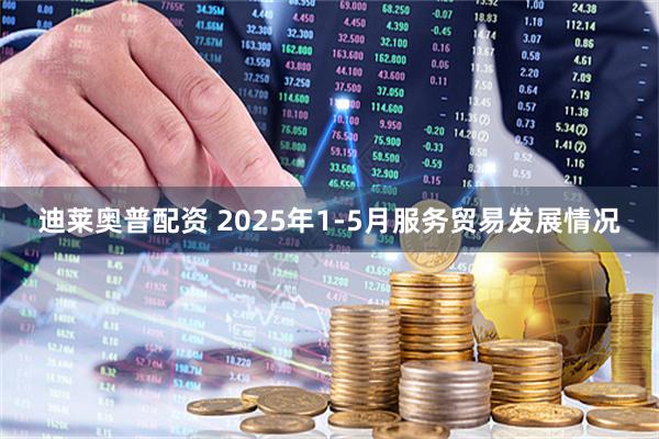 迪莱奥普配资 2025年1-5月服务贸易发展情况